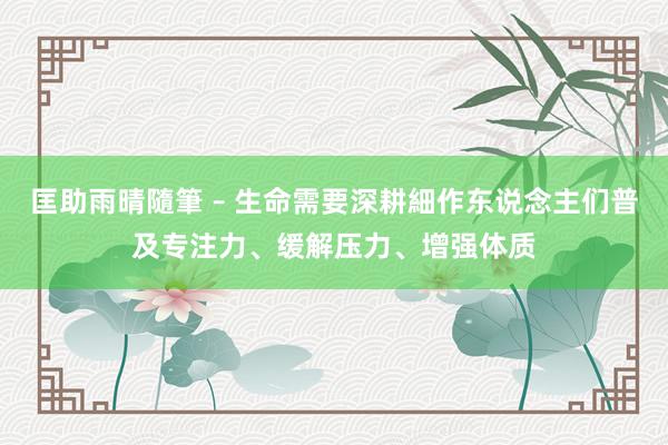 匡助雨晴隨筆 – 生命需要深耕細作东说念主们普及专注力、缓解压力、增强体质